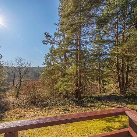 Waldblick Fuenfseen