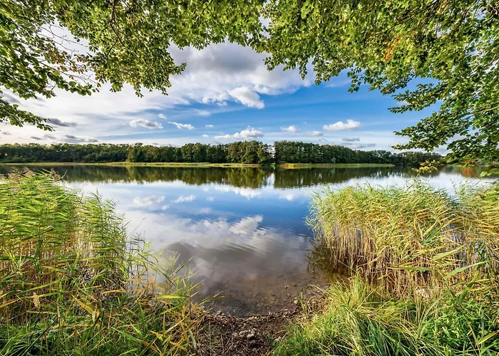 Feriehus Waldblick - Ferienparadies Am Plauer